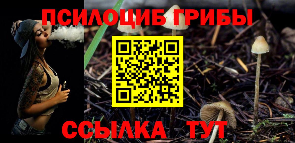 Галлюциногенные грибы Magic Shrooms Якутск